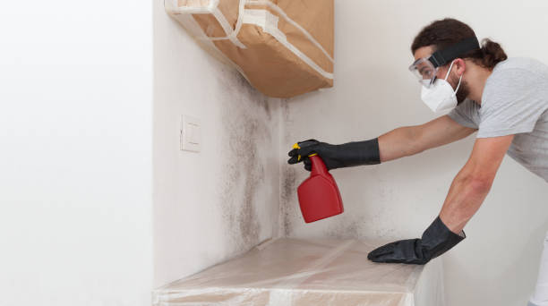 Professional Attic Mold Remediation technician working in Reedsville, PA