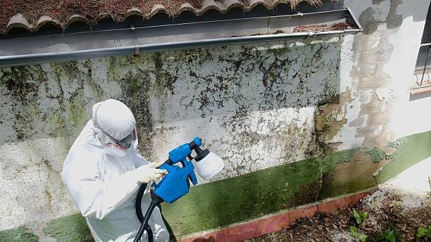 Top rated local Attic Mold Remediation specialists in Reedsville, PA